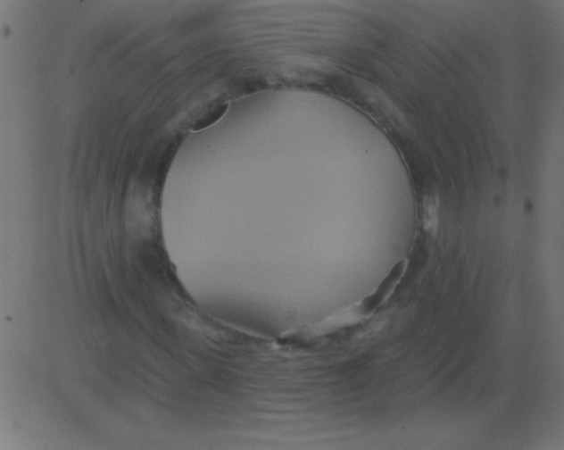 X0000081300915200702012305