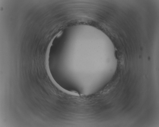 X0000081300916200702012305