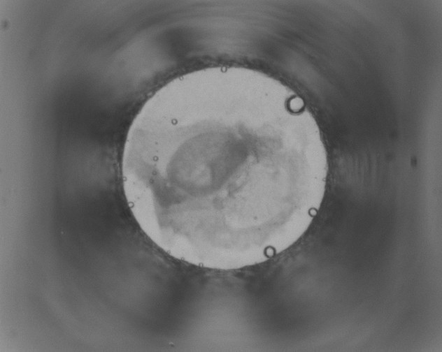 X0000081300918200702012305