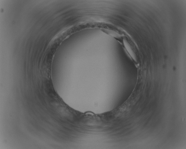 X0000081300919200702012305