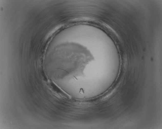 X0000081300921200702012305