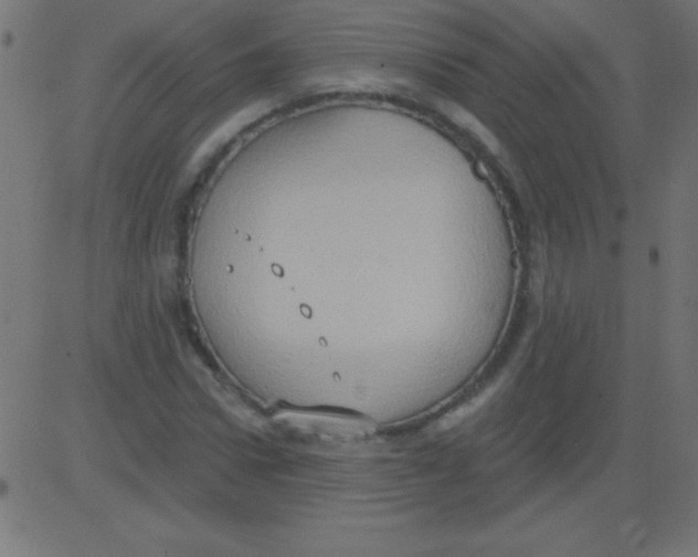 X0000081300922200702012305