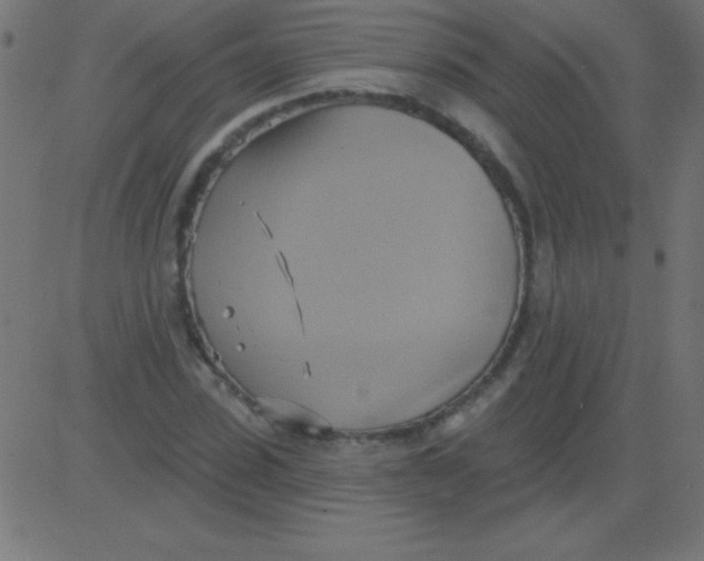 X0000081300923200702012305