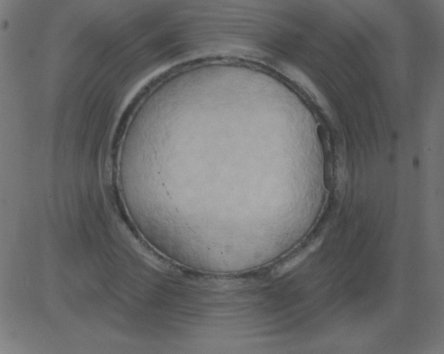 X0000081300924200702012305