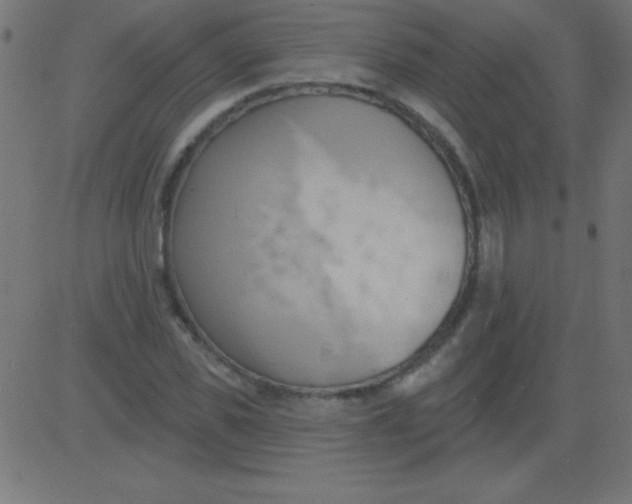 X0000081300925200702012305