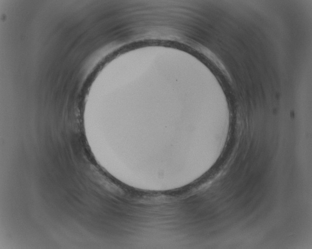 X0000081300926200702012305