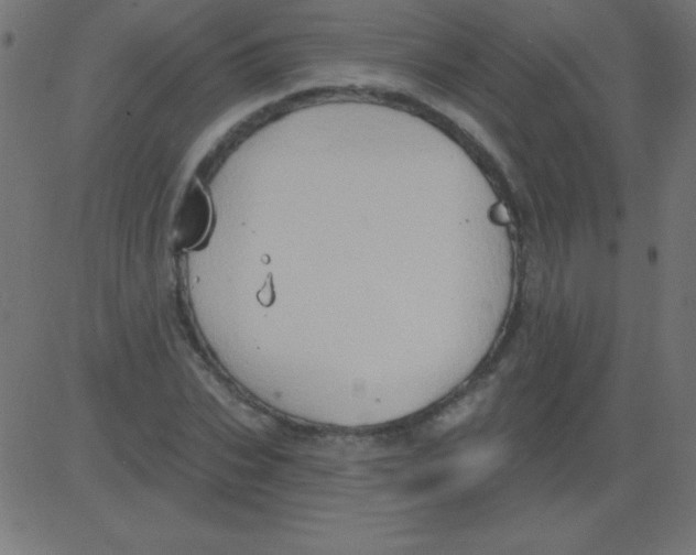 X0000081300927200702012305