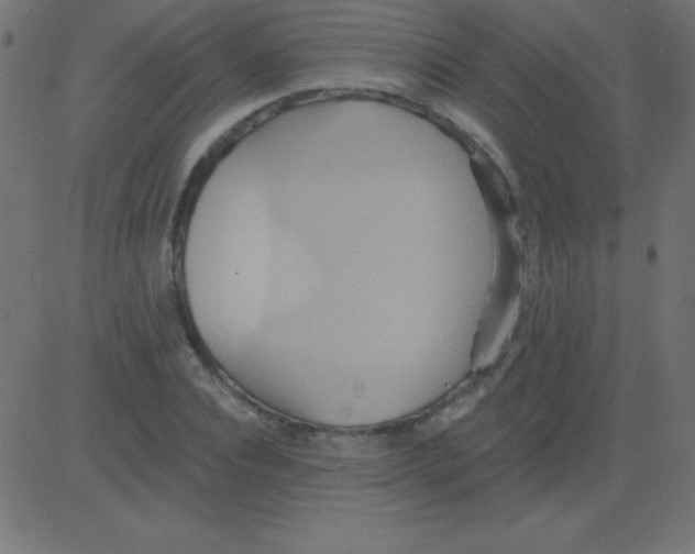 X0000081300928200702012305