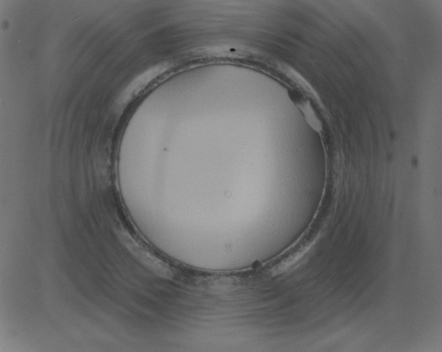 X0000081300930200702012305