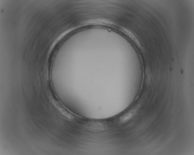 X0000081300931200702012306