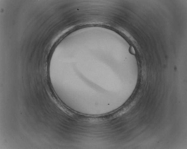 X0000081300933200702012306