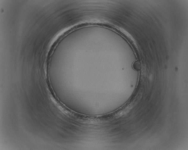 X0000081300935200702012306