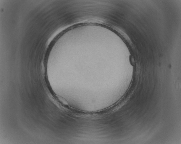 X0000081300936200702012306