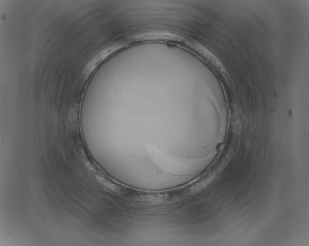 X0000081300937200702012306