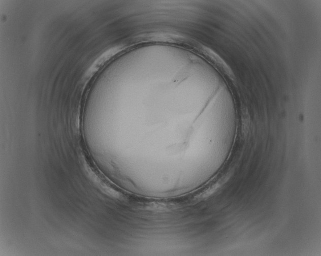 X0000081300938200702012306