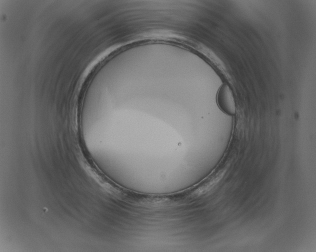 X0000081300939200702012306