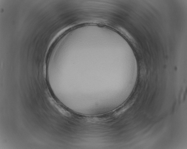 X0000081300940200702012306