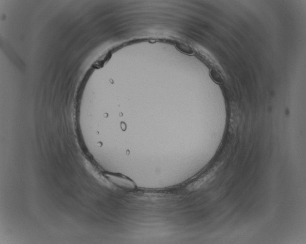 X0000081300942200702012306