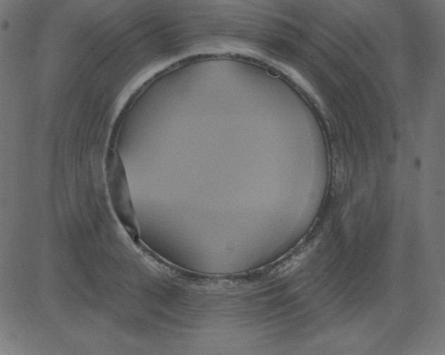 X0000081300943200702012306