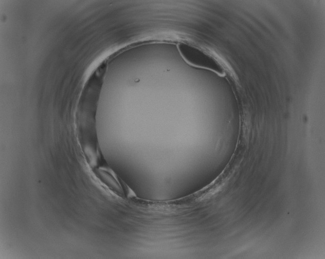 X0000081300944200702012306