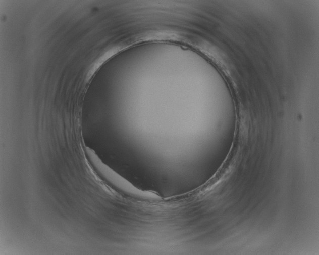 X0000081300945200702012306