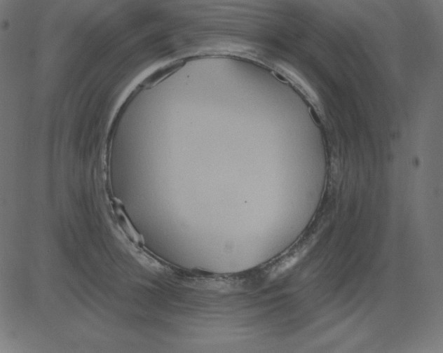 X0000081300948200702012306