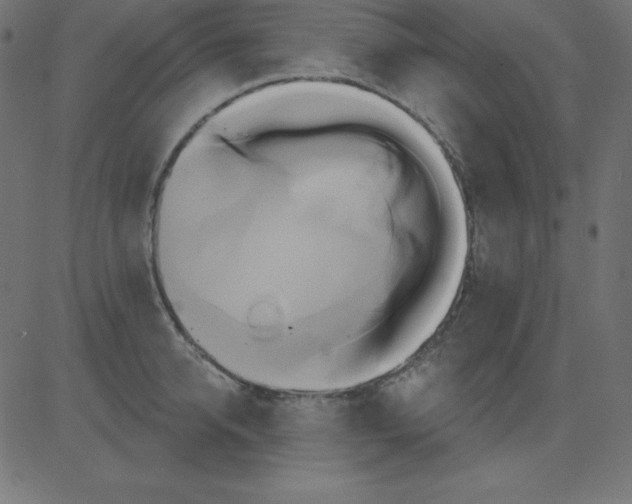 X0000081300950200702012306