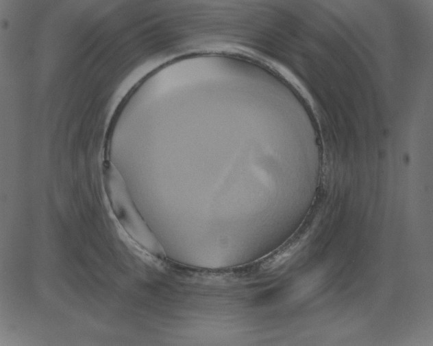 X0000081300951200702012306