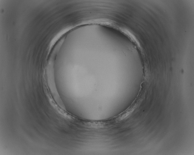 X0000081300952200702012306