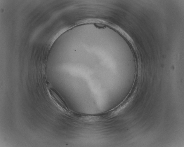 X0000081300953200702012306