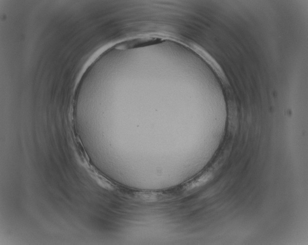 X0000081300956200702012306