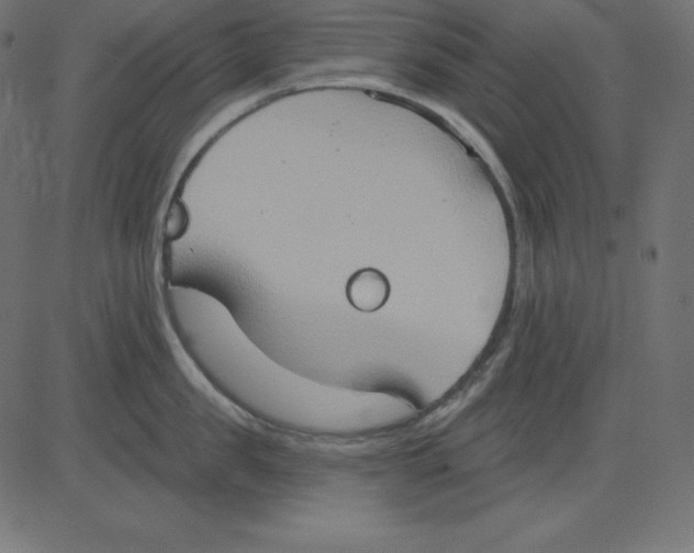 X0000081300957200702012306