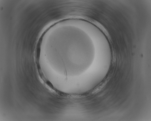 X0000081300958200702012306