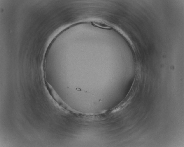 X0000081300959200702012306