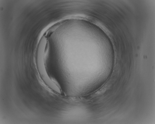 X0000081300960200702012306