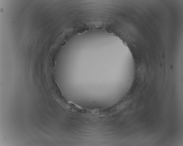 X0000081300961200702012305