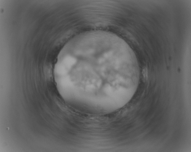 X0000081300963200702012305