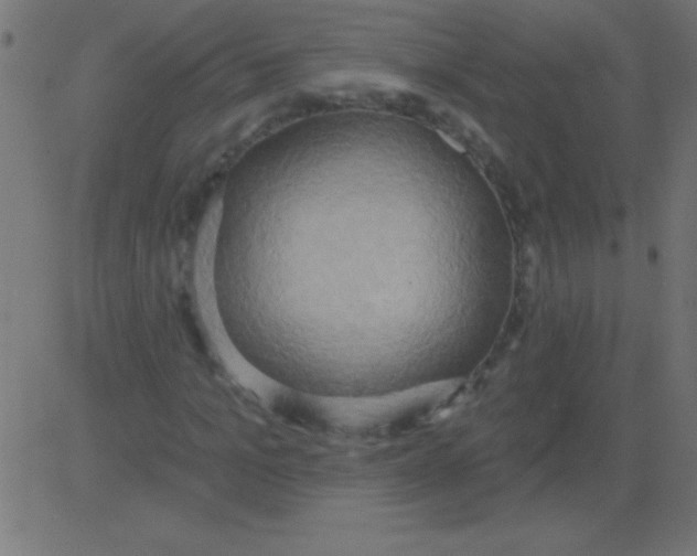 X0000081300965200702012305