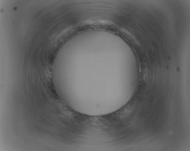 X0000081300966200702012305