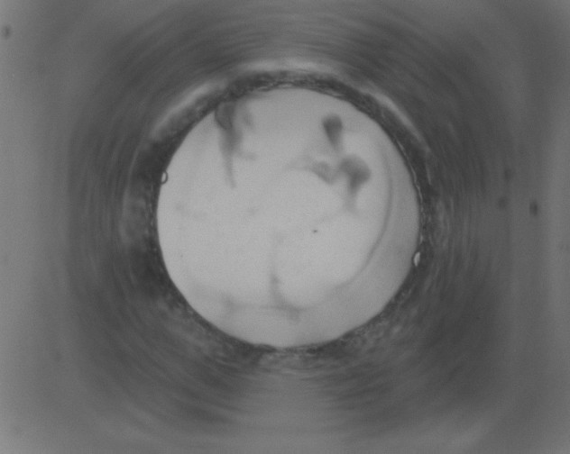 X0000081300967200702012305