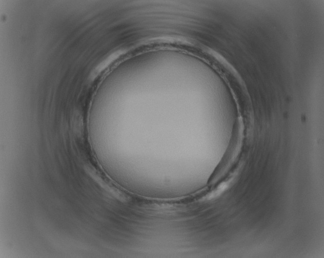 X0000081300969200702012305