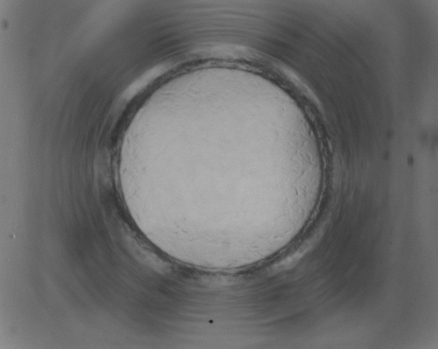 X0000081300970200702012305