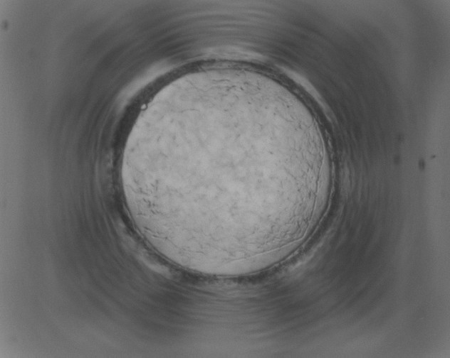 X0000081300971200702012305