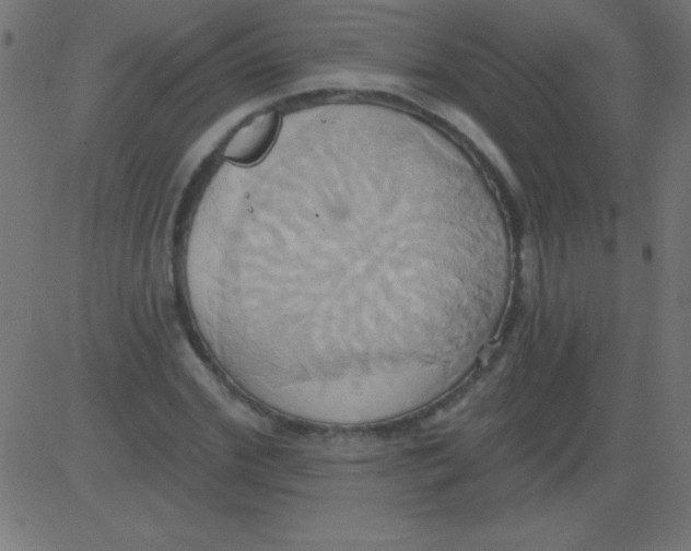 X0000081300972200702012305