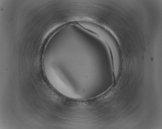 X0000081300975200702012305