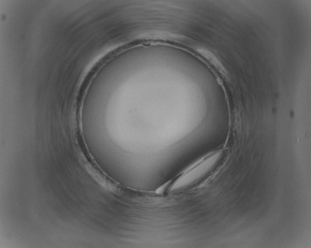 X0000081300976200702012305