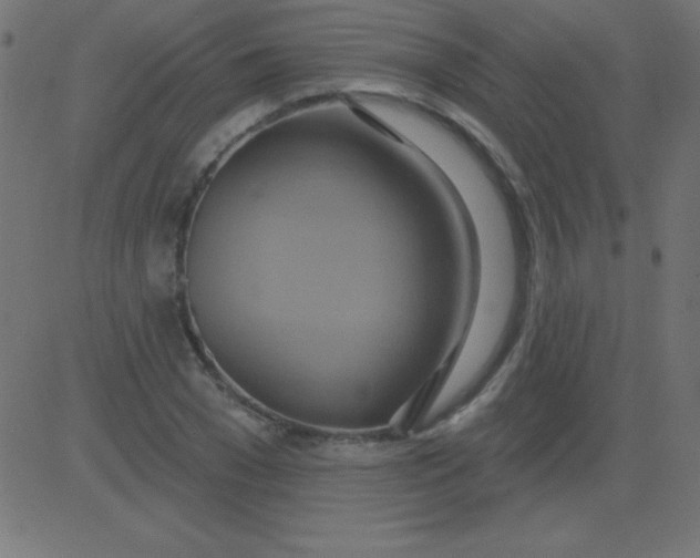 X0000081300977200702012305