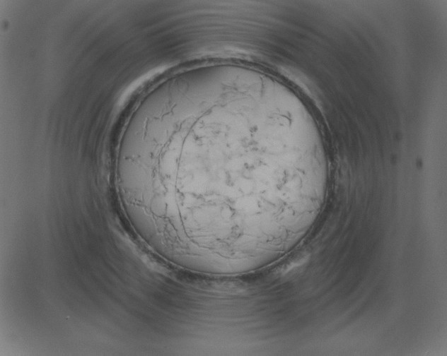 X0000081300979200702012305