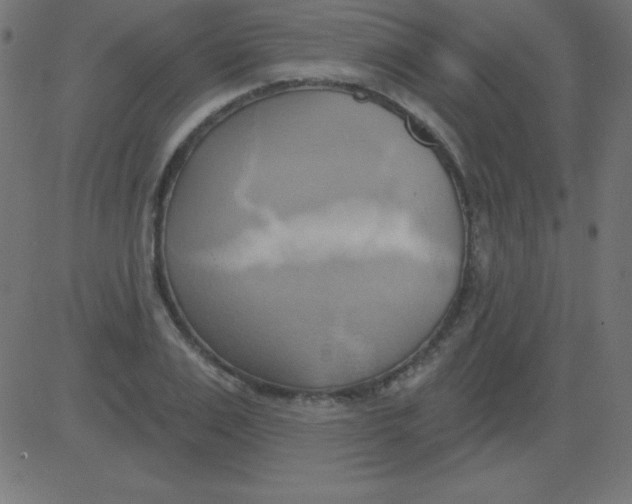 X0000081300983200702012305