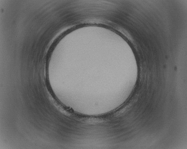 X0000081300984200702012305